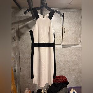 Elegant Black and White Sleeveless Dress
